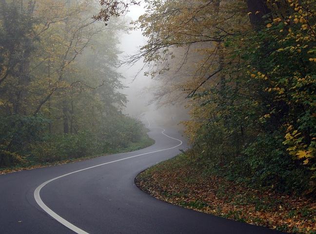 Auto Theorieprüfung online: Herbstliche Verkehrssituationen meistern